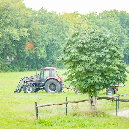 Eulennest, 35230 Alloggio per agriturismo *