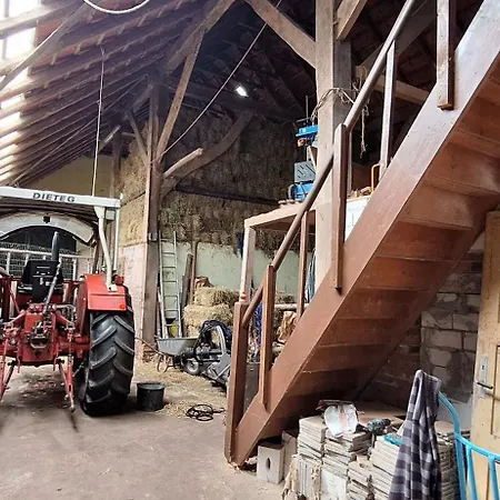 Eulennest, 35230 * Schwerinsdorf