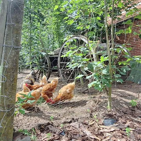 Eulennest, 35230 Alloggio per agriturismo