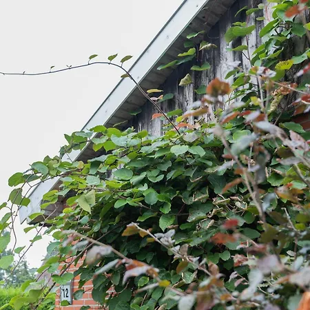 팜스테이 Eulennest, 35230 Schwerinsdorf