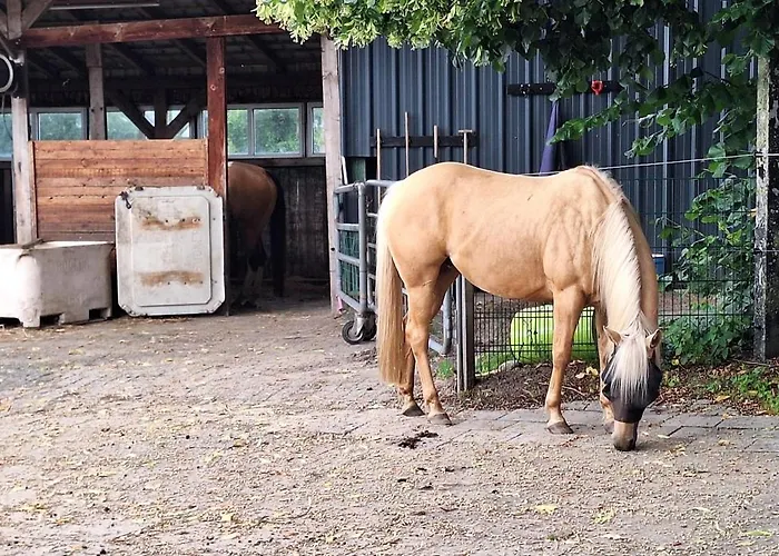 Eulennest, 35230 Фермерский дом *