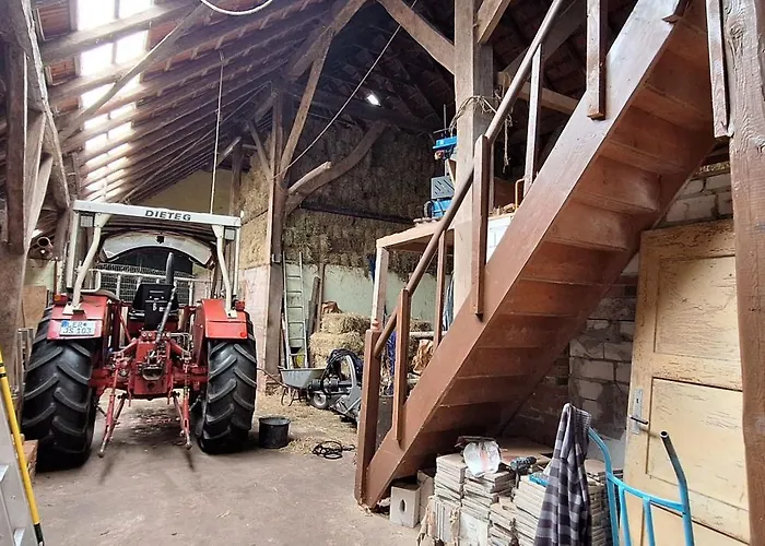 Eulennest, 35230 * Schwerinsdorf