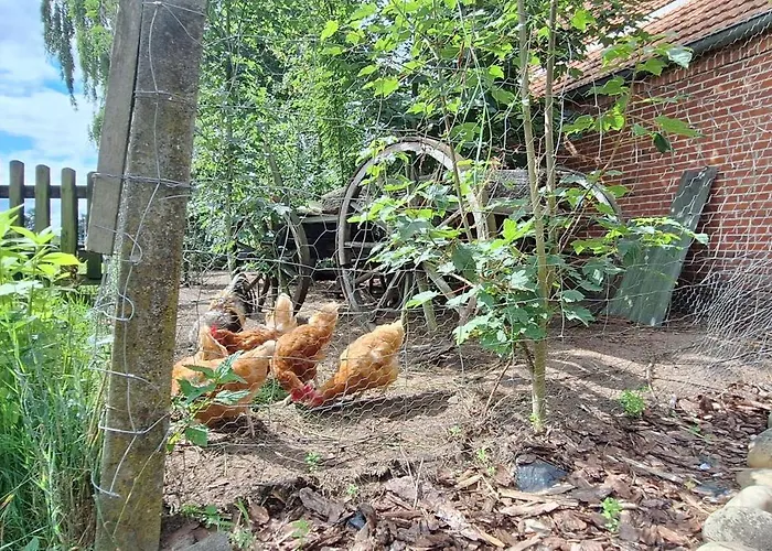 Eulennest, 35230 Фермерский дом